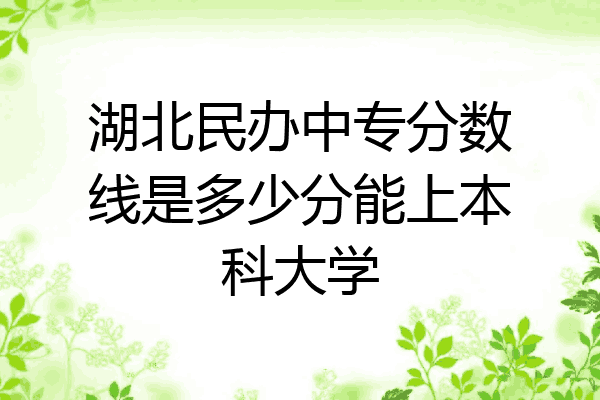 湖北民办中专分数线是多少分能上本科大学