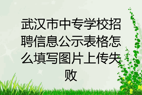 武汉市中专学校招聘信息公示表格怎么填写图片上传失败