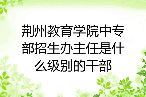 荆州教育学院中专部招生办主任是什么级别的干部