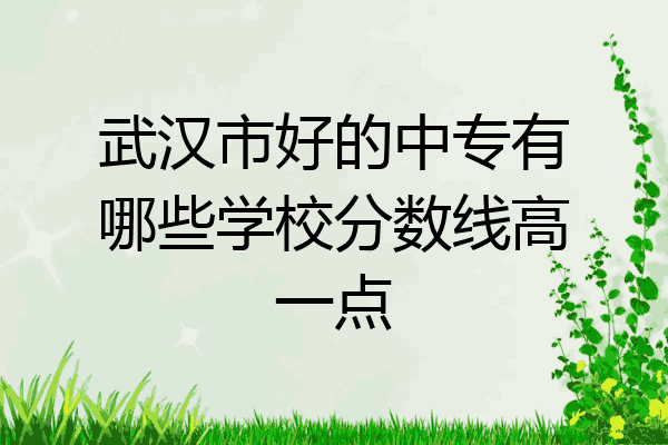 武汉市好的中专有哪些学校分数线高一点