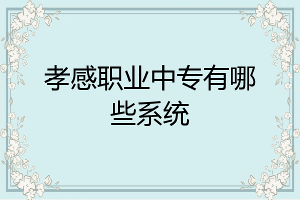 孝感职业中专有哪些系统