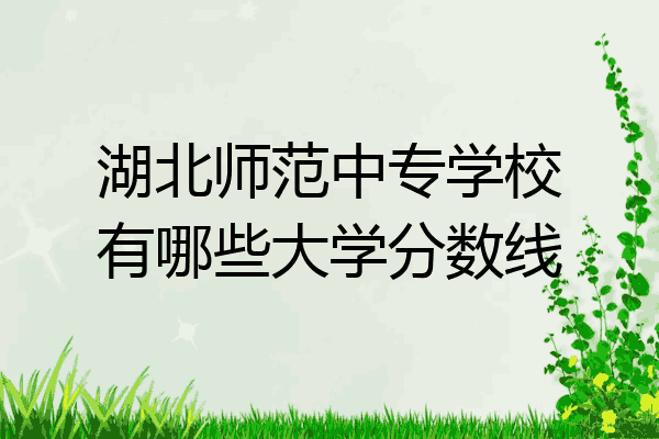 湖北师范中专学校有哪些大学分数线