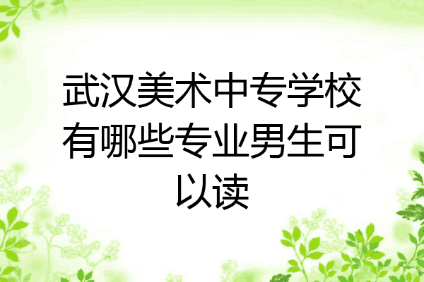 武汉美术中专学校有哪些专业男生可以读