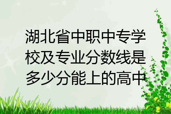 湖北省中职中专学校及专业分数线是多少分能上的高中