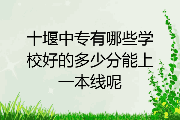 十堰中专有哪些学校好的多少分能上一本线呢
