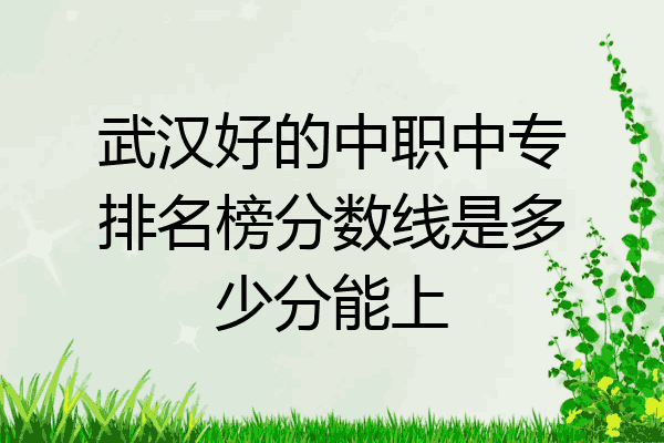武汉好的中职中专排名榜分数线是多少分能上