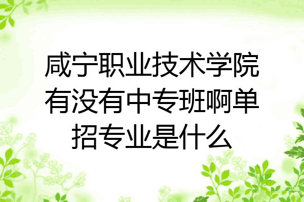 咸宁职业技术学院有没有中专班啊单招专业是什么