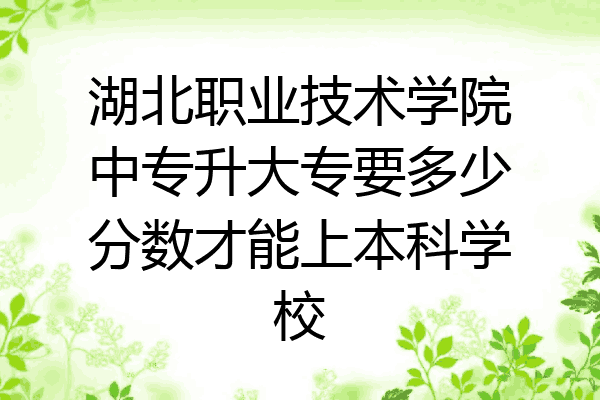 湖北职业技术学院中专升大专要多少分数才能上本科学校