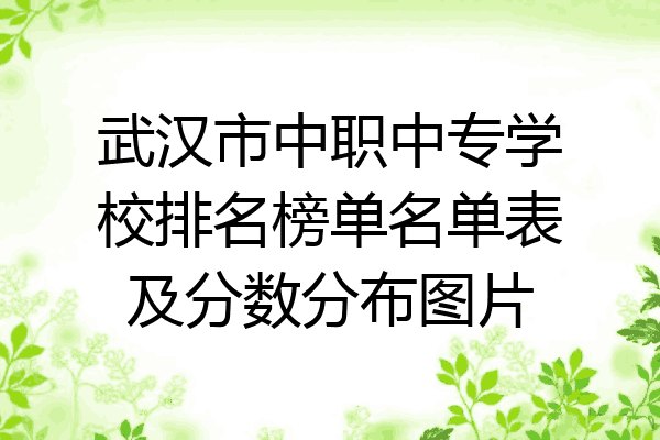 武汉市中职中专学校排名榜单名单表及分数分布图片