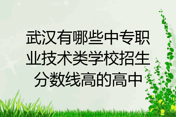 武汉有哪些中专职业技术类学校招生分数线高的高中