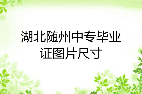 湖北随州中专毕业证图片尺寸