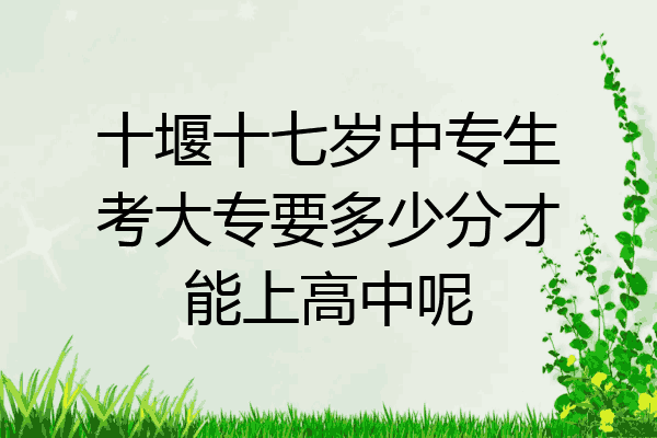 十堰十七岁中专生考大专要多少分才能上高中呢
