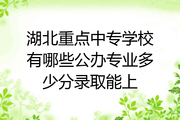 湖北重点中专学校有哪些公办专业多少分录取能上
