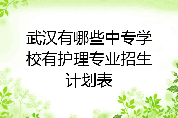 武汉有哪些中专学校有护理专业招生计划表