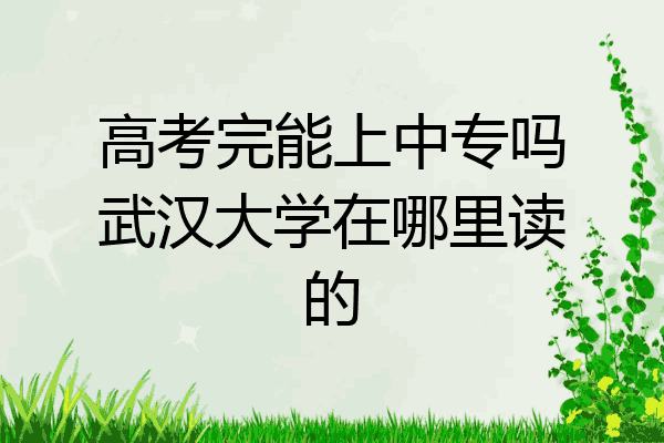 高考完能上中专吗武汉大学在哪里读的