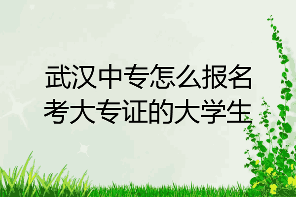 武汉中专怎么报名考大专证的大学生