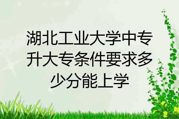 湖北工业大学中专升大专条件要求多少分能上学