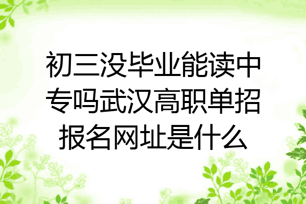 初三没毕业能读中专吗武汉高职单招报名网址是什么