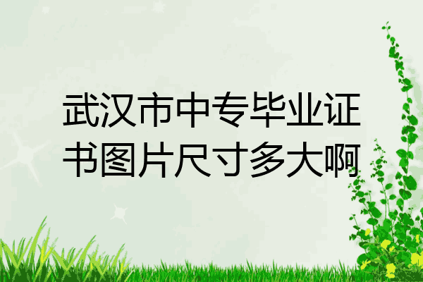 武汉市中专毕业证书图片尺寸多大啊