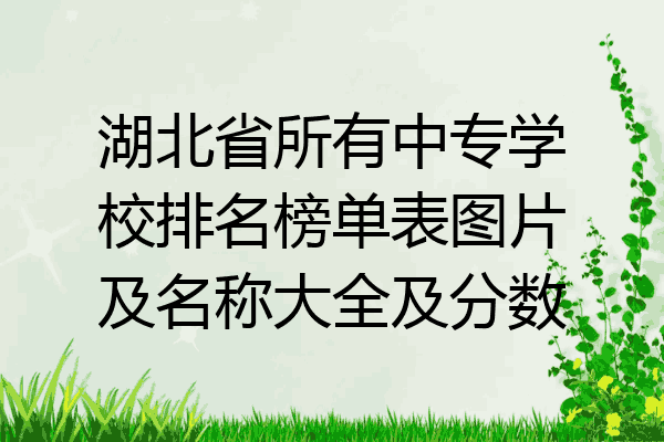 湖北省所有中专学校排名榜单表图片及名称大全及分数