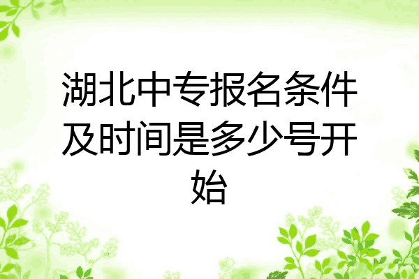 湖北中专报名条件及时间是多少号开始