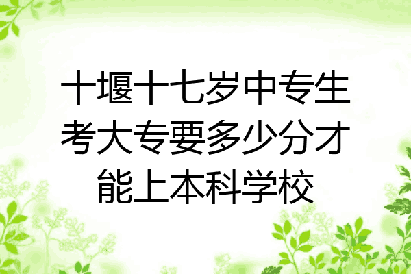 十堰十七岁中专生考大专要多少分才能上本科学校