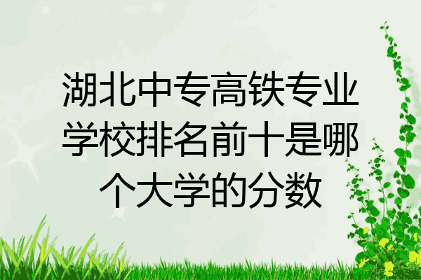 湖北中专高铁专业学校排名前十是哪个大学的分数
