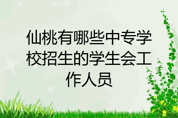 仙桃有哪些中专学校招生的学生会工作人员