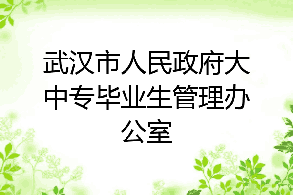 武汉市人民政府大中专毕业生管理办公室