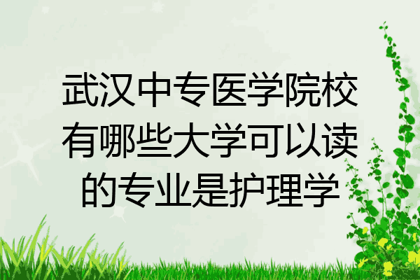 武汉中专医学院校有哪些大学可以读的专业是护理学