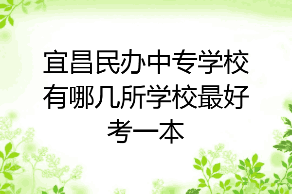 宜昌民办中专学校有哪几所学校最好考一本
