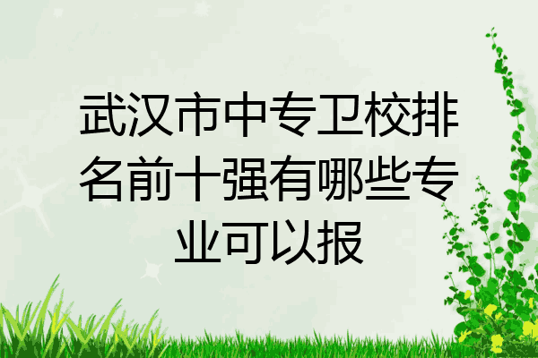 武汉市中专卫校排名前十强有哪些专业可以报