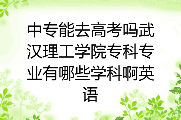 中专能去高考吗武汉理工学院专科专业有哪些学科啊英语