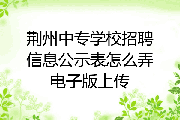 荆州中专学校招聘信息公示表怎么弄电子版上传
