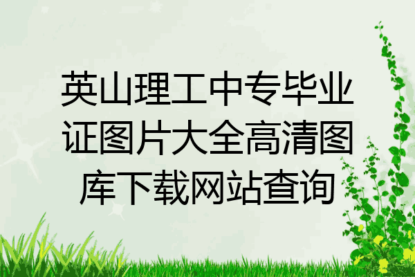 英山理工中专毕业证图片大全高清图库下载网站查询