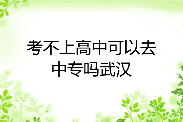 考不上高中可以去中专吗武汉