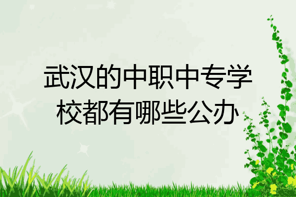 武汉的中职中专学校都有哪些公办