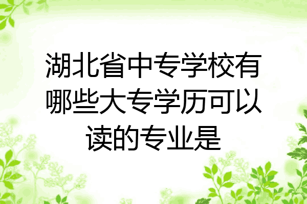 湖北省中专学校有哪些大专学历可以读的专业是