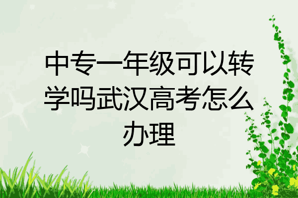 中专一年级可以转学吗武汉高考怎么办理