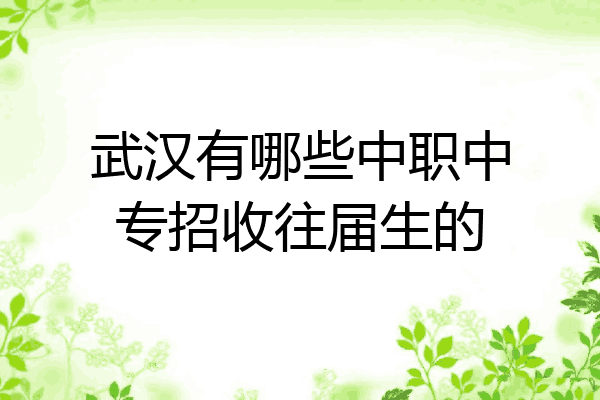 武汉有哪些中职中专招收往届生的