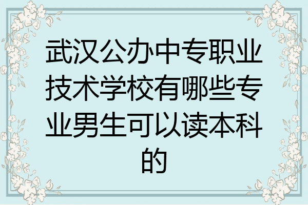 武汉公办中专职业技术学校有哪些专业男生可以读本科的