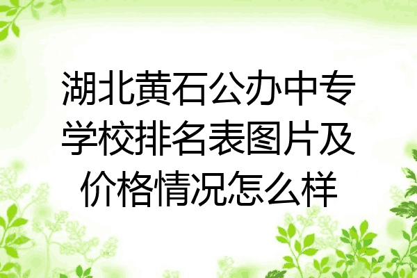 湖北黄石公办中专学校排名表图片及价格情况怎么样