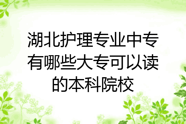 湖北护理专业中专有哪些大专可以读的本科院校