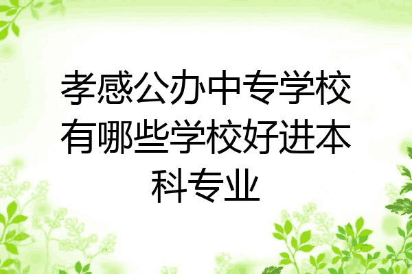 孝感公办中专学校有哪些学校好进本科专业