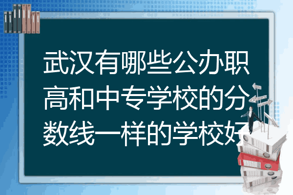 武汉有哪些公办职高和中专学校的分数线一样的学校好