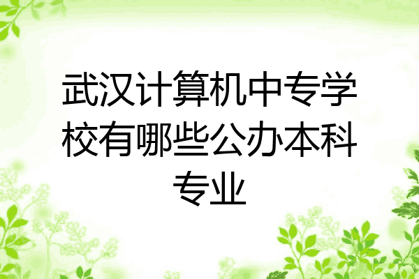 武汉计算机中专学校有哪些公办本科专业