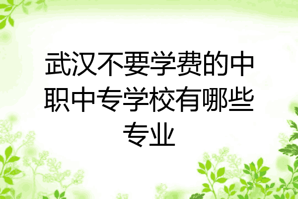 武汉不要学费的中职中专学校有哪些专业