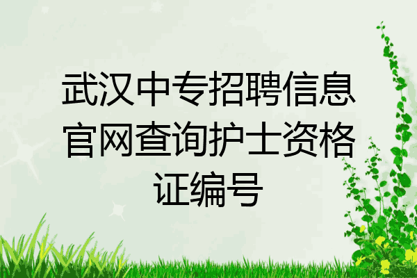 武汉中专招聘信息官网查询护士资格证编号