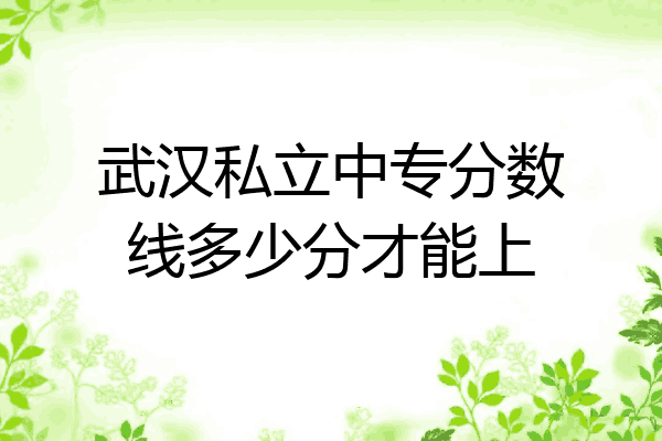 武汉私立中专分数线多少分才能上