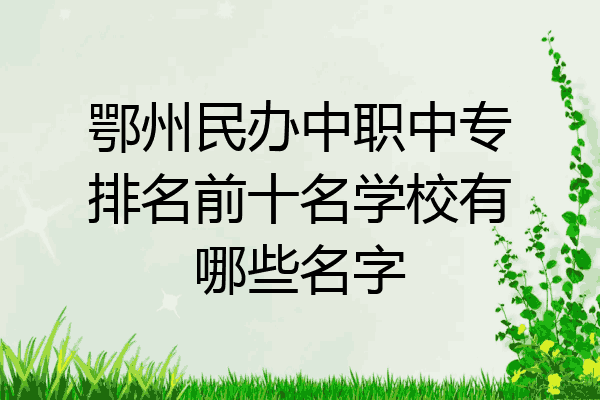 鄂州民办中职中专排名前十名学校有哪些名字